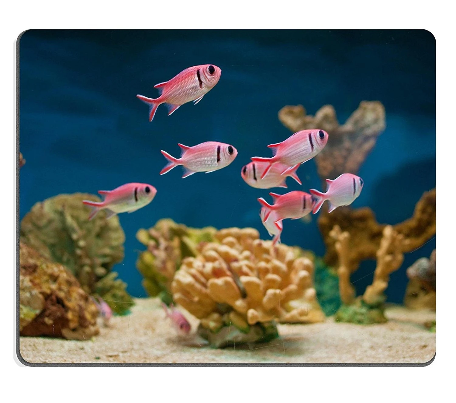 (Mouse mat Gaming mouse pad) Mouse Pad Természetes Gumi Mousepad Gyönyörű rózsaszín tengeri halak az akváriumban